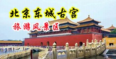 大屌日女视频中国北京-东城古宫旅游风景区